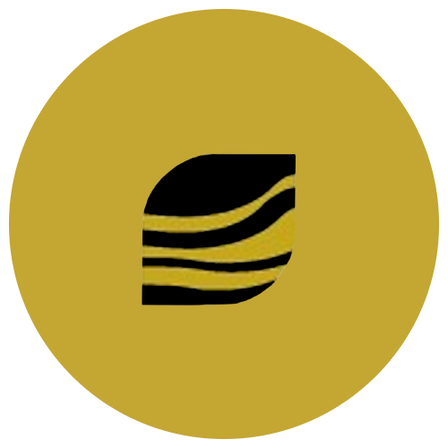 dome gold company logo